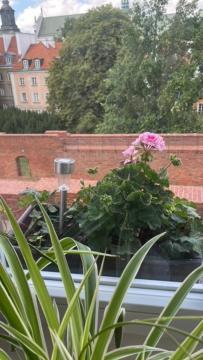 Krzywe Kolo 14-16-18 M7 * Warszawa